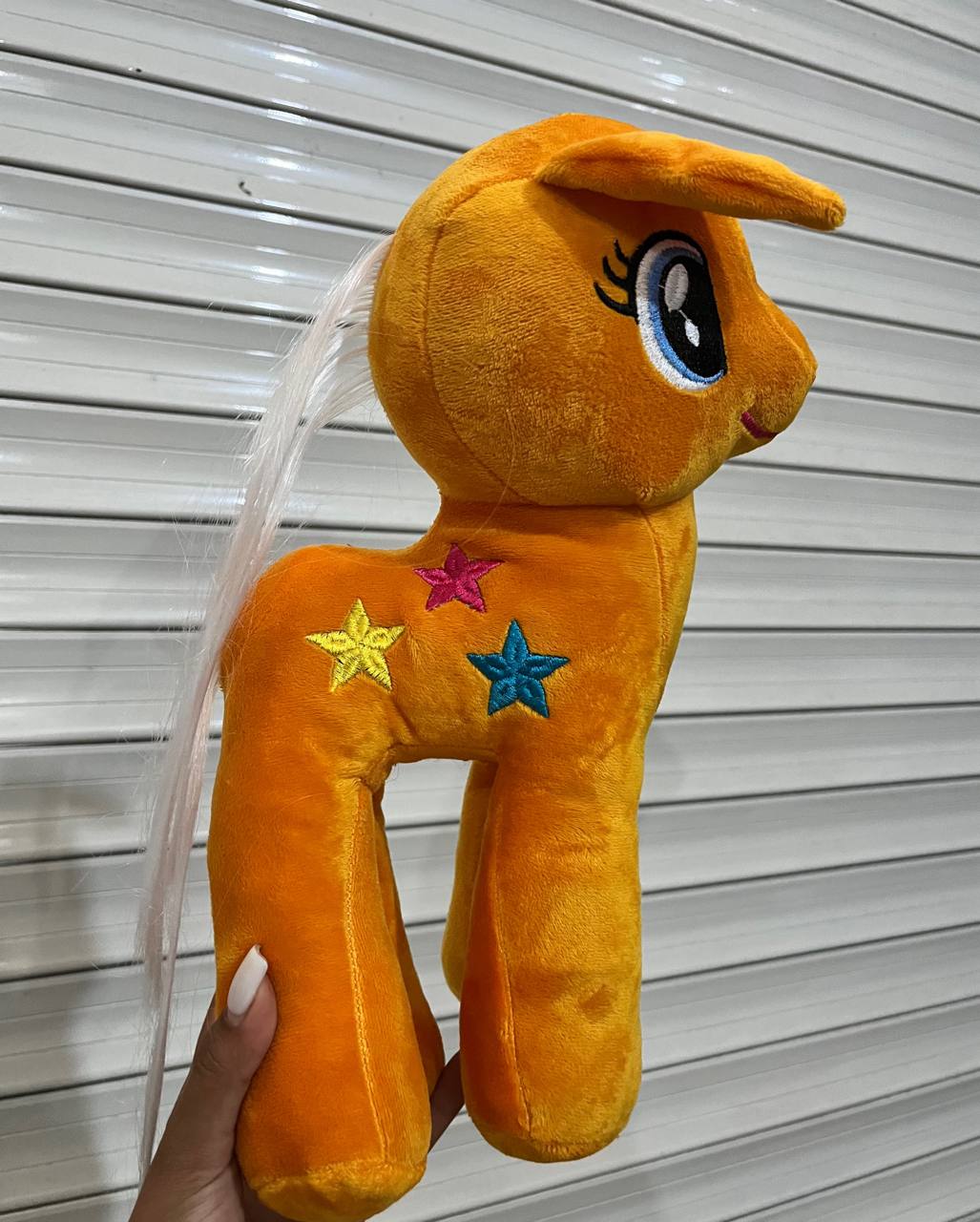 photo_2025-08-11_03-50-01