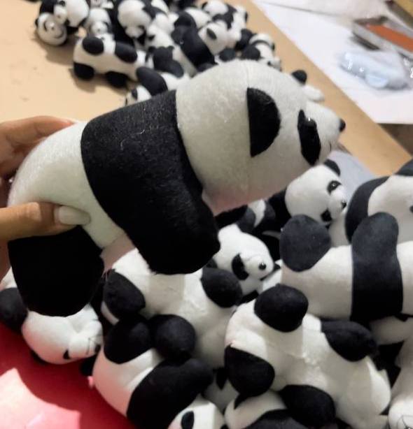 photo_2025-08-11_04-00-43