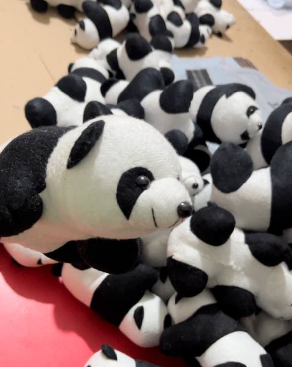 photo_2025-08-11_04-00-45