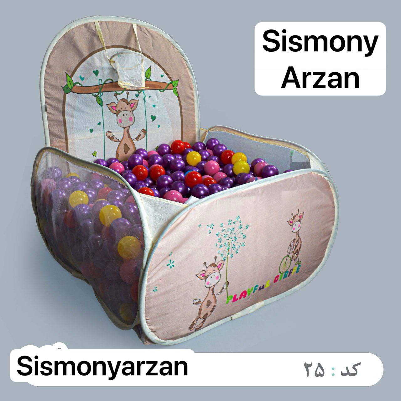 photo_2025-08-12_06-41-13