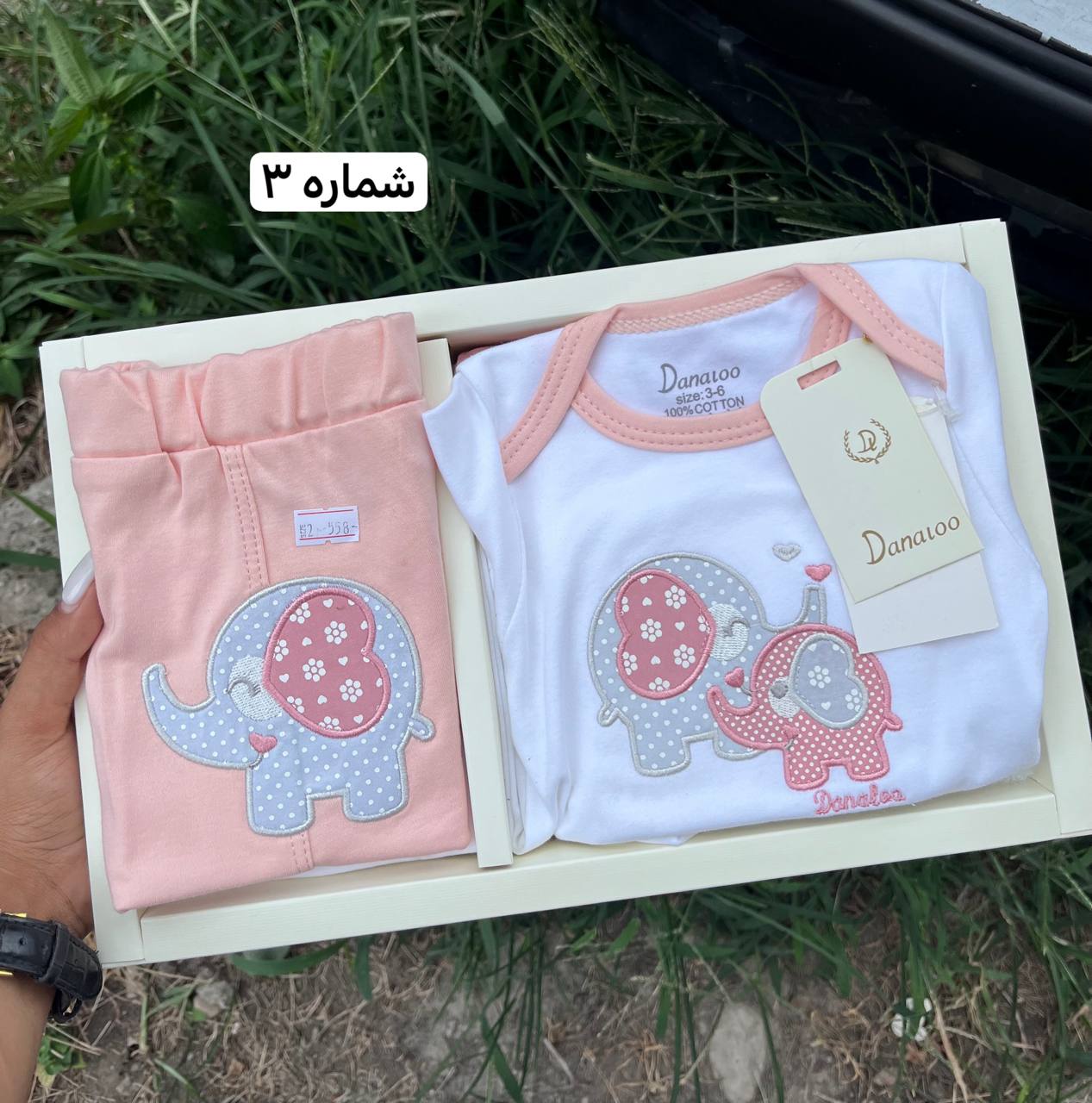 photo_2025-08-13_05-45-12