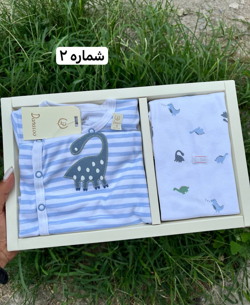 photo_2025-08-13_05-53-07