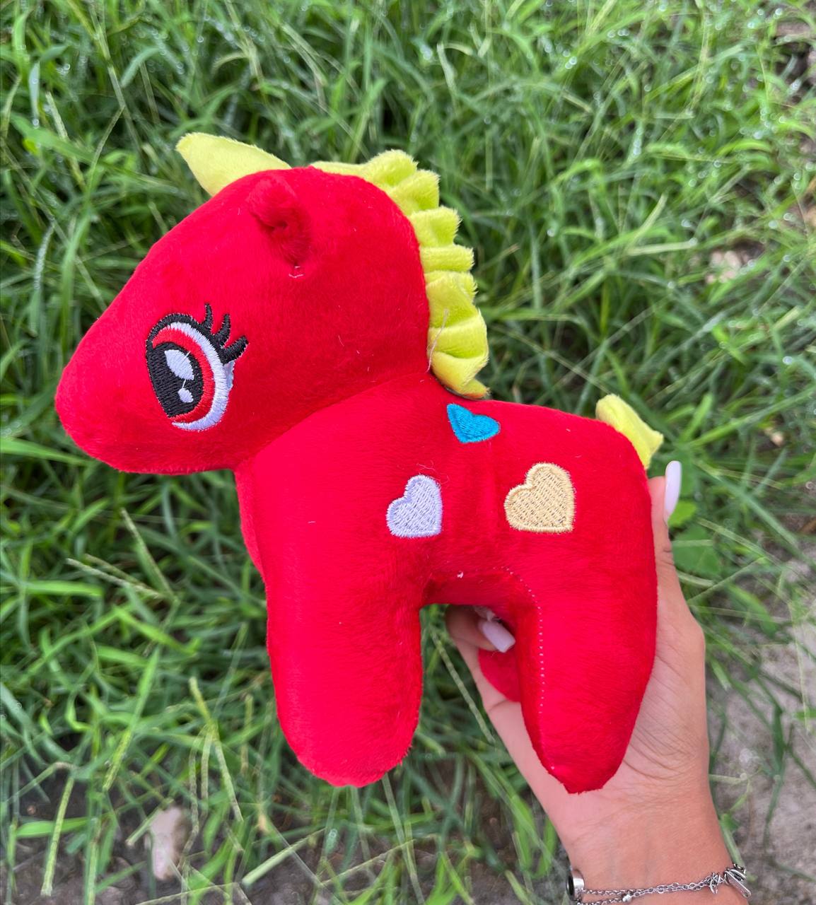 photo_2025-08-17_06-58-49