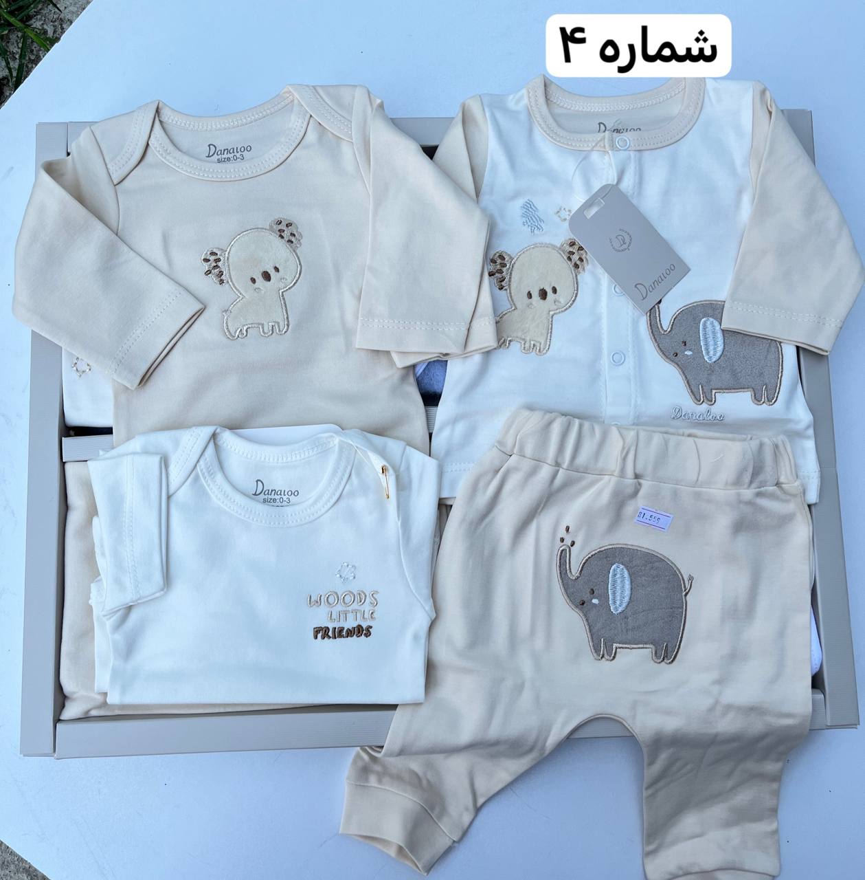 photo_2025-08-18_06-04-18