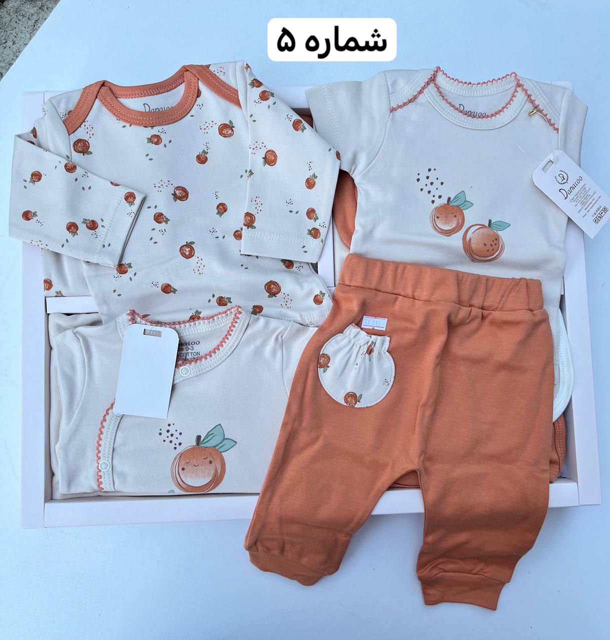 photo_2025-08-18_06-04-20