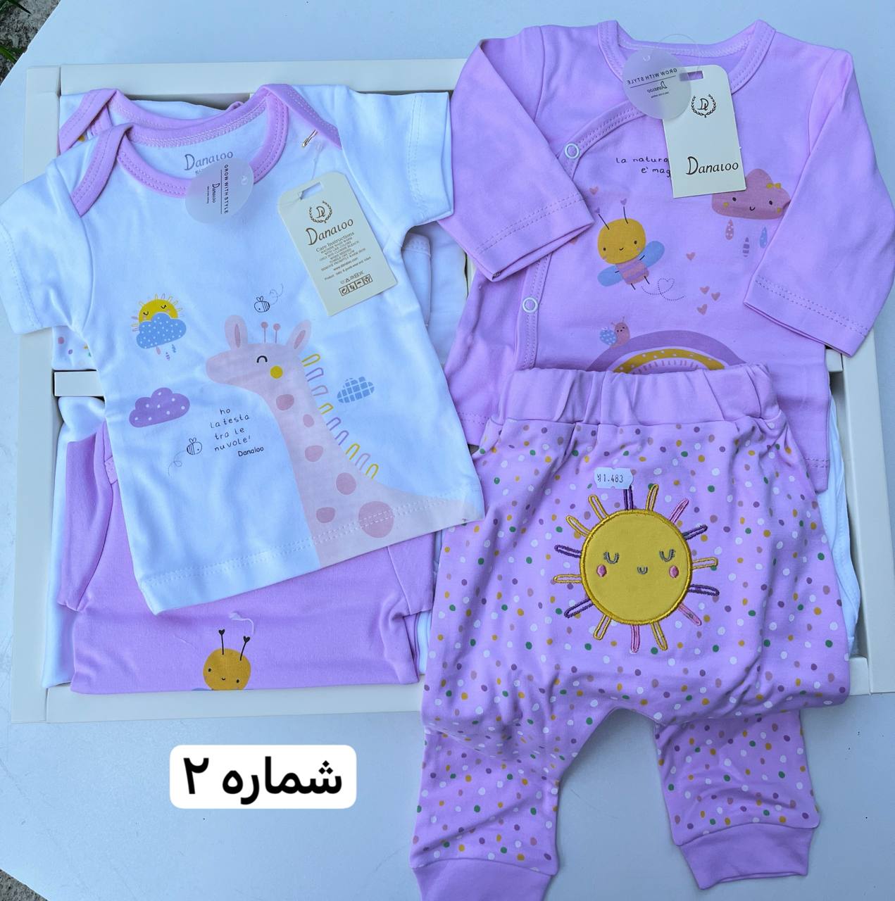 photo_2025-08-18_06-07-53