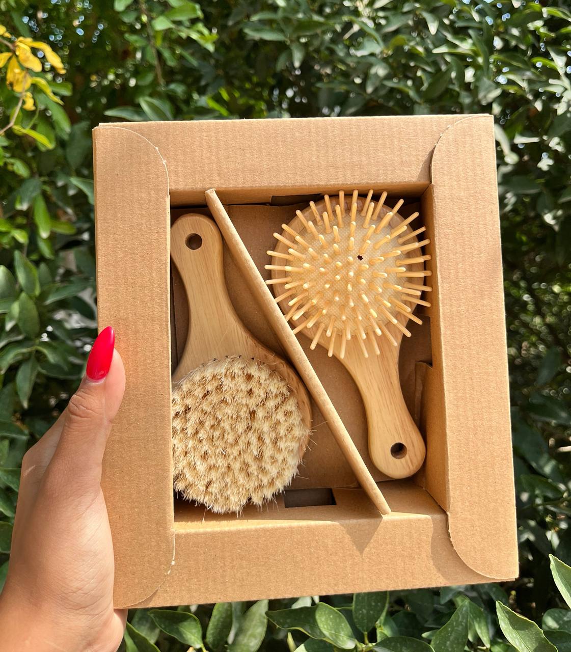 IMG_20250909_130616_372