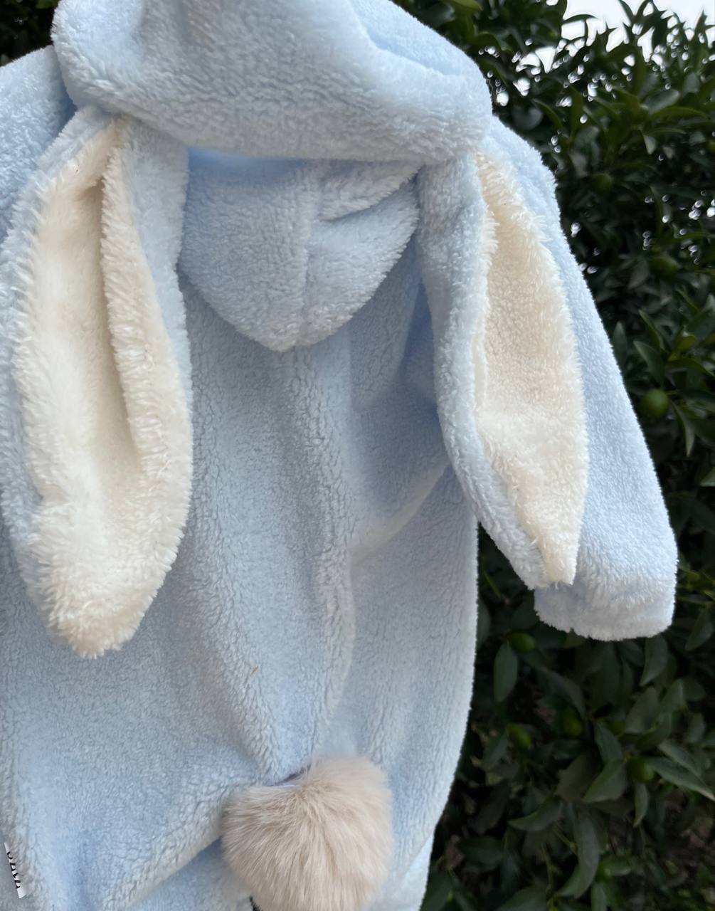 IMG_20250922_142345_947