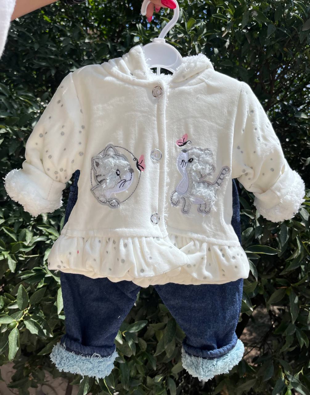 photo_2025-09-01_12-31-31