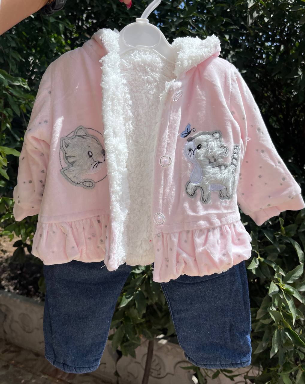 photo_2025-09-01_12-31-33