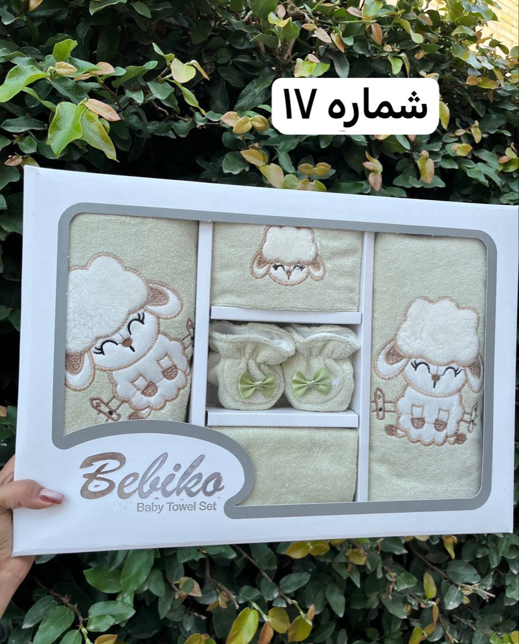 IMG_20251023_120633_576