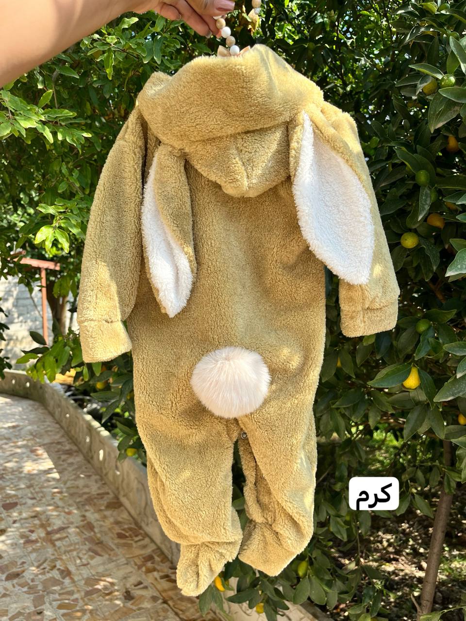 IMG_20251026_124445_198