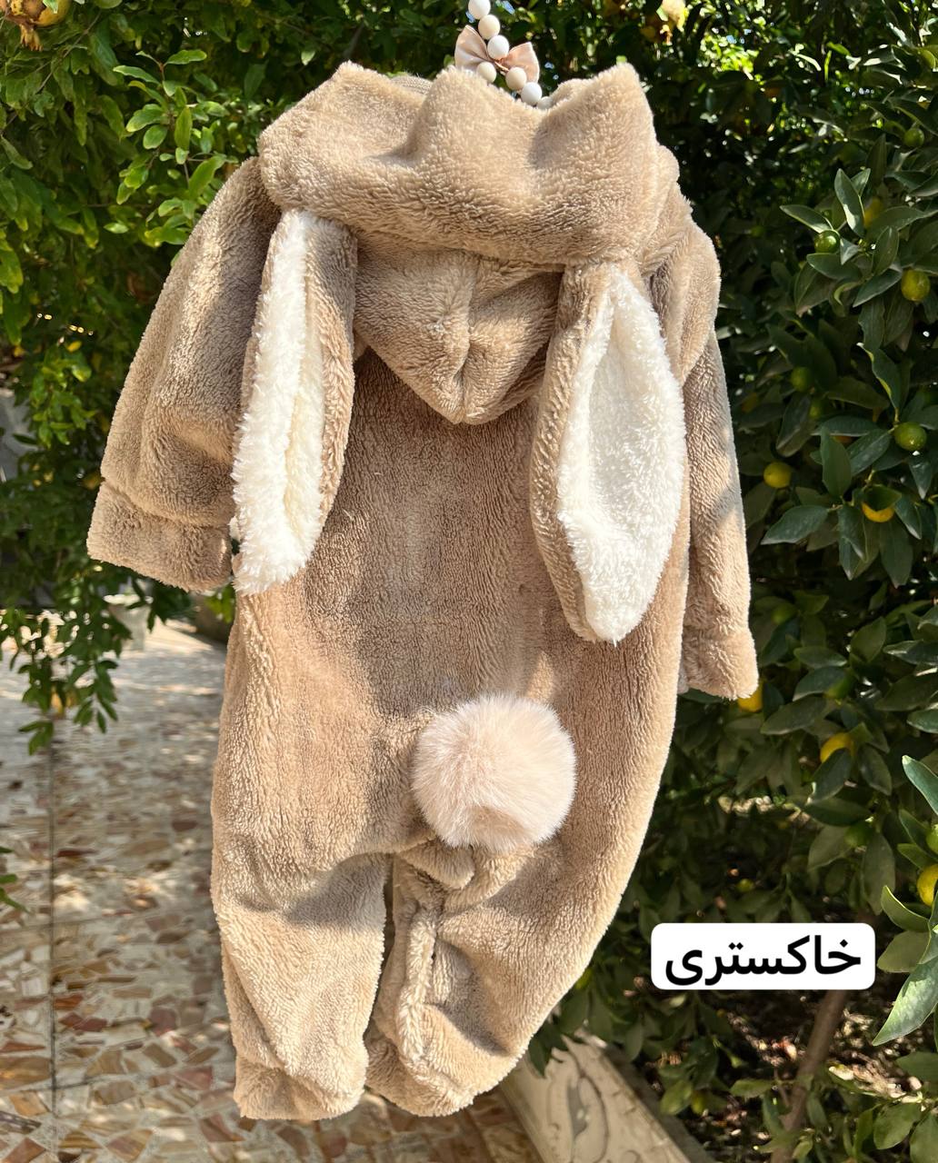 IMG_20251026_124445_255