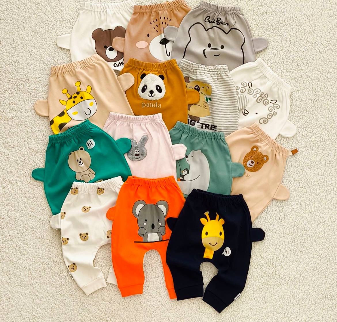 IMG_20251107_191219_767