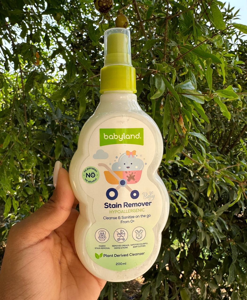 IMG_20251115_192551_678