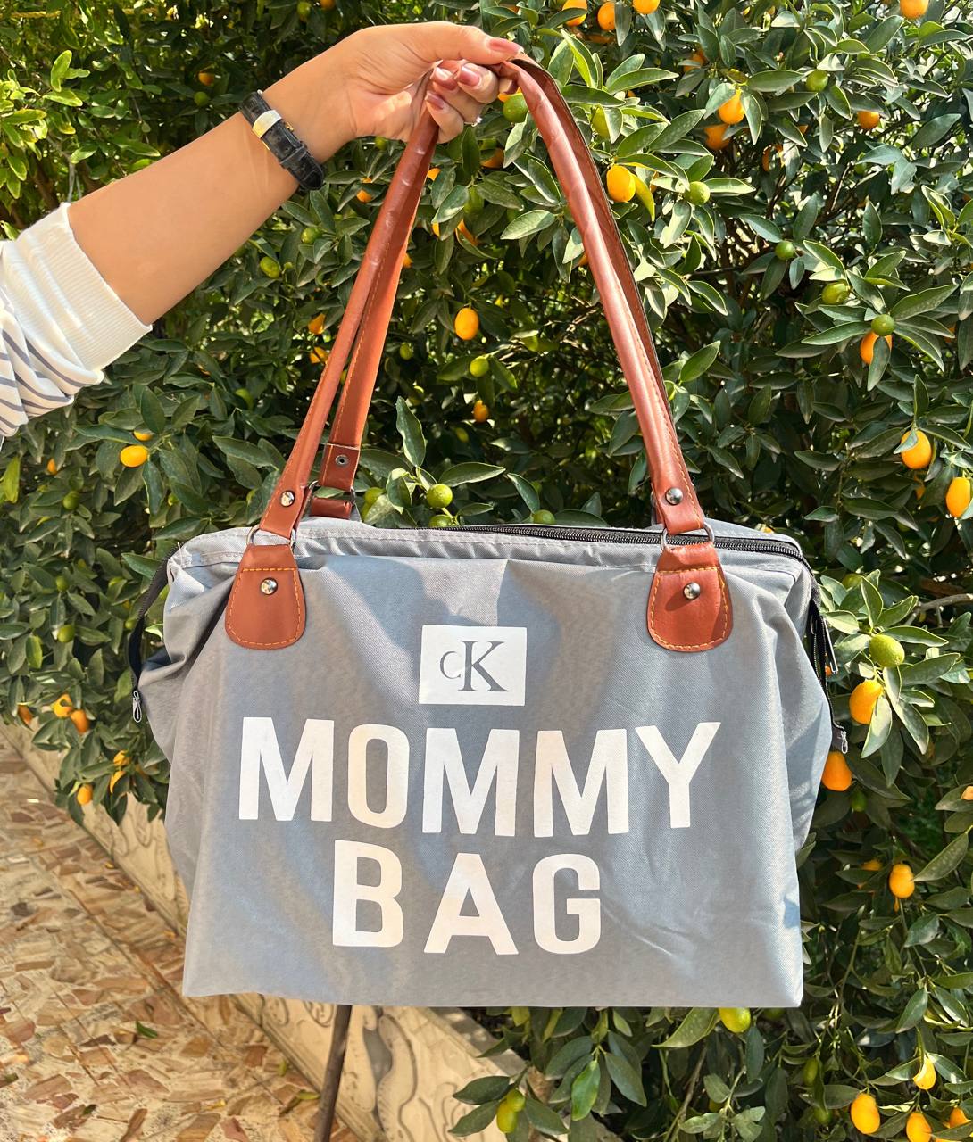 IMG_20251116_115741_412