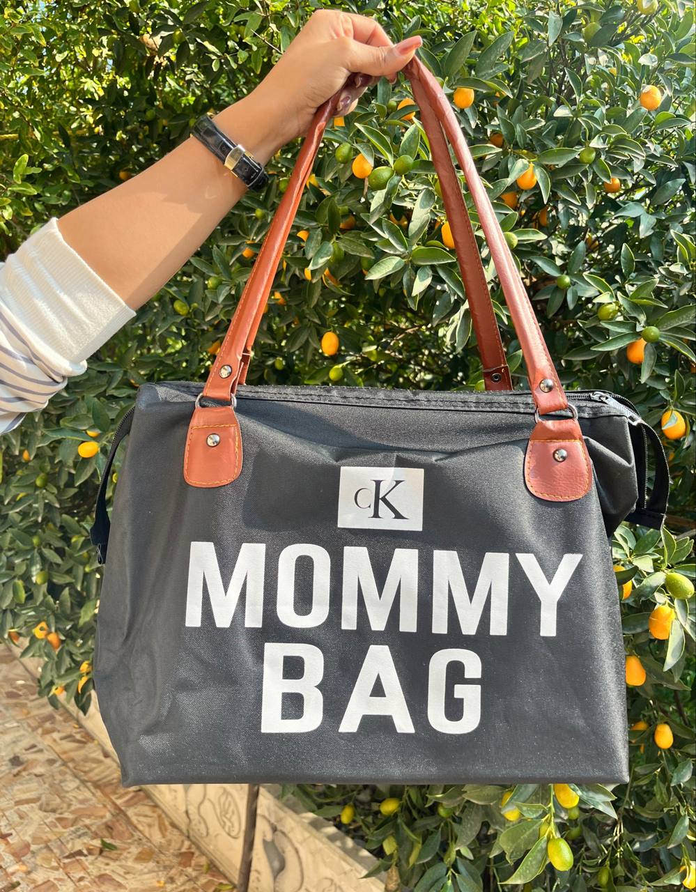 IMG_20251116_115741_415