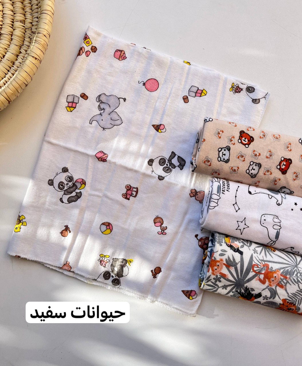 IMG_20251213_133859_719