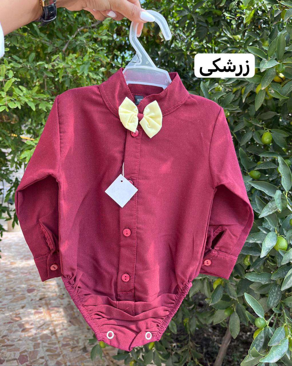 photo_2025-12-04_03-18-37