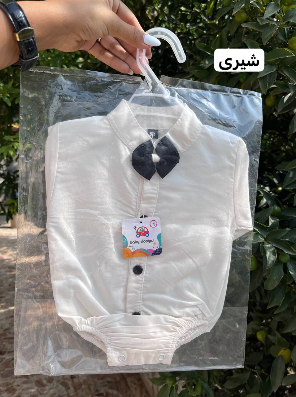 photo_2025-12-04_03-18-50