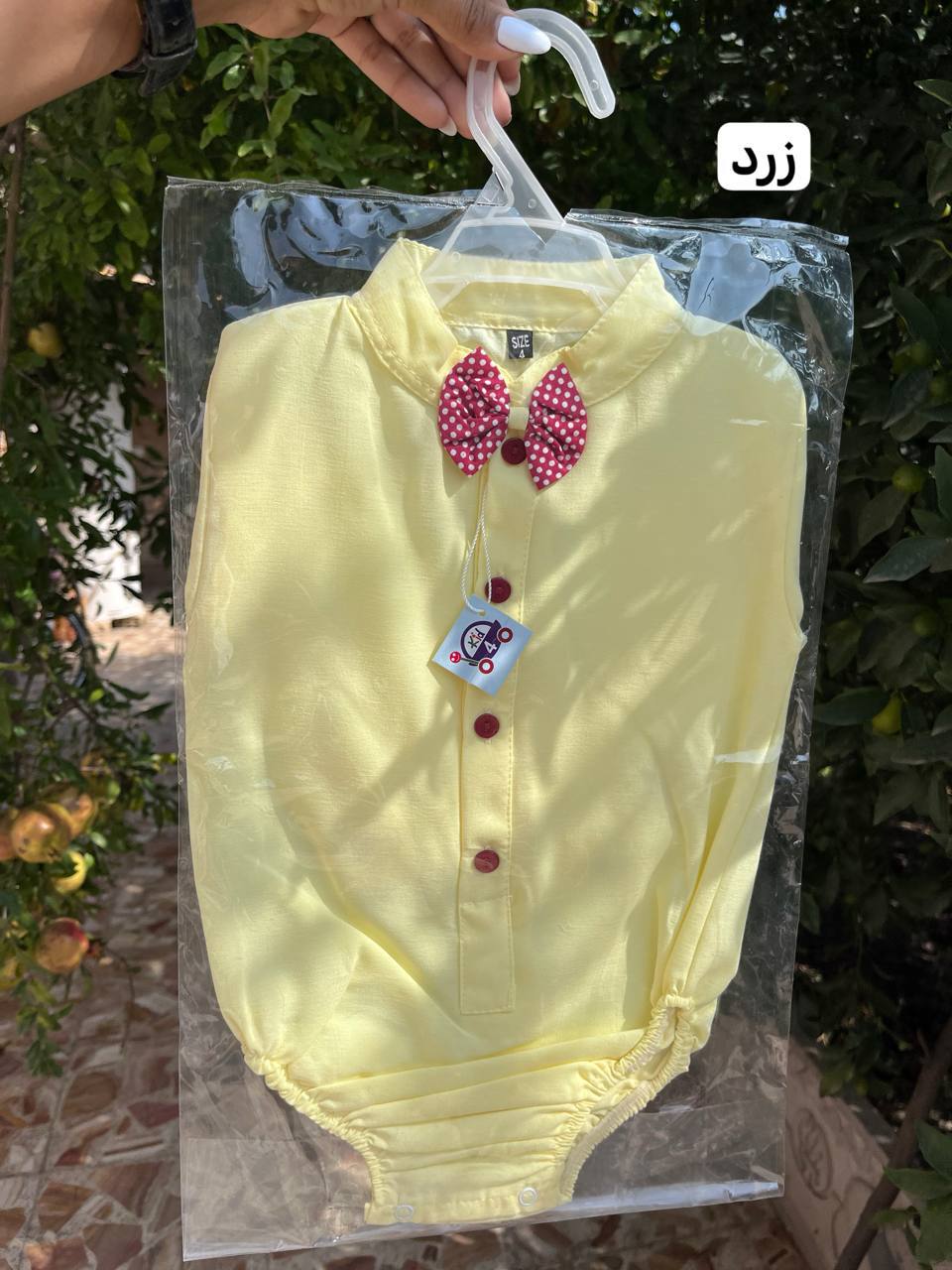 photo_2025-12-04_03-18-53